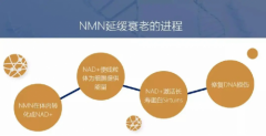 完成国内备案的日本首款NMN面膜，实现持久全效抗衰！